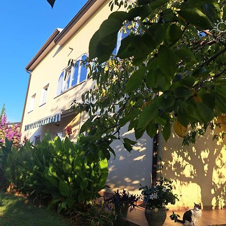 Bozica House With Apartments Murine Экстерьер фото